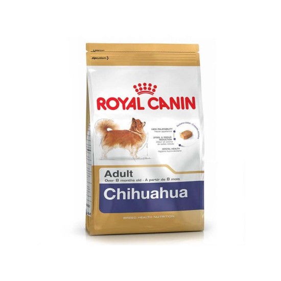 chihuahua junior royal canin