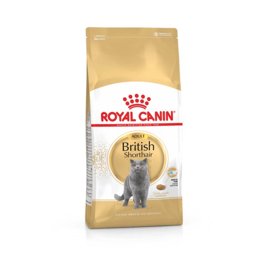 british shorthair royal canin 4kg