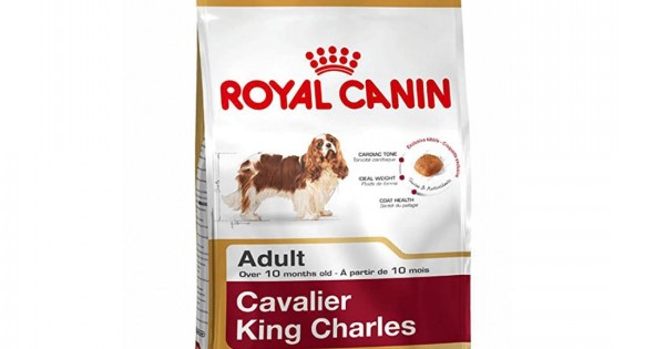 royal canin king charles puppy food