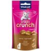 Vitakraft Cat Treat Crispy Crunch Healthy Malt for Anti HairBall 60g