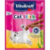 Vitakraft Cat Treat Stick Mini Chicken and Cat Grass (3pcs)