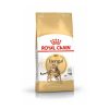 Royal Canin Cat Food Bengal 2kg