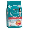 Purina One Cat Dry Food Healthy Adult 1